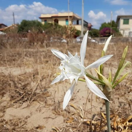 Maison Du Soleil Agnone Bagni Dış mekan fotoğraf
