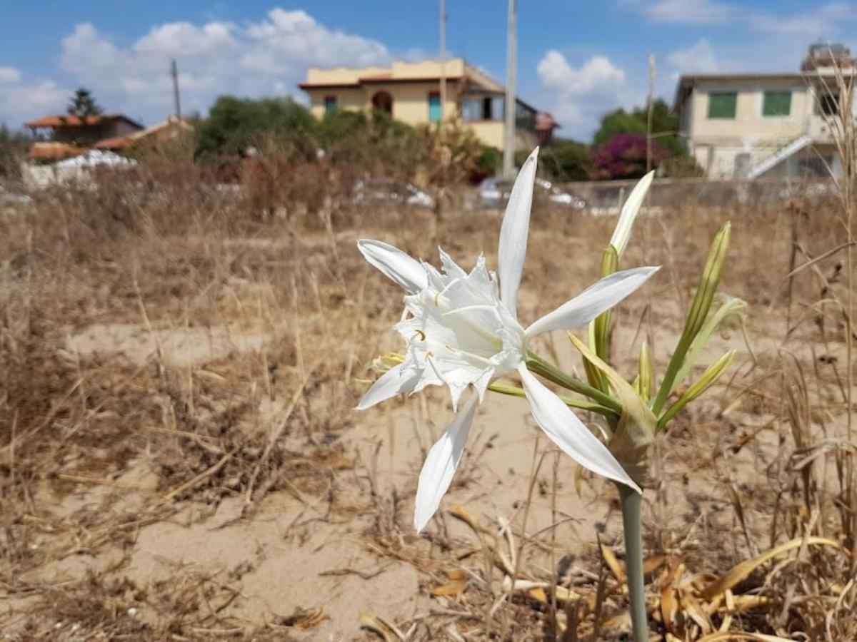 Maison Du Soleil Agnone Bagni Dış mekan fotoğraf
